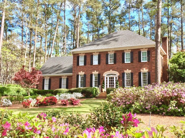 Conifer Retreat with azaleas in bloom