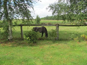 Boendeområde