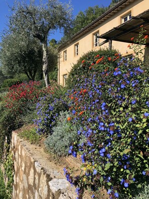 Jardines del alojamiento