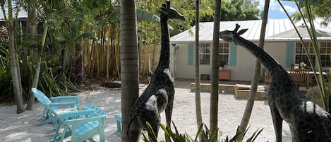 Backyard with the life-size bronze giraffe 