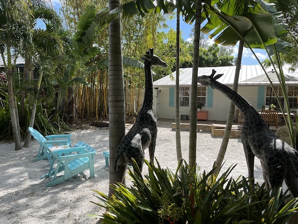 Backyard with the life-size bronze giraffe 