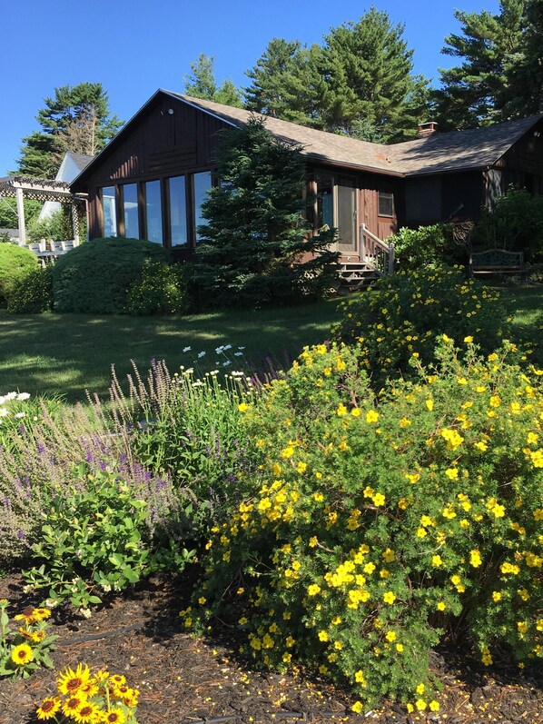 Lito Lodge in Bloom