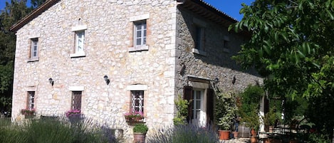 Main entrance to the villa with lavender