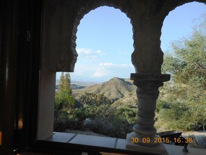 View when doing the washing up !!