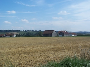 Photo non classée, 2 sur 21, bouton