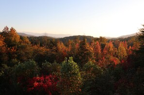 Front Porch View