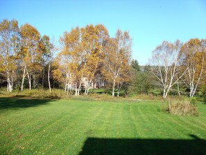 The lawn from the deck