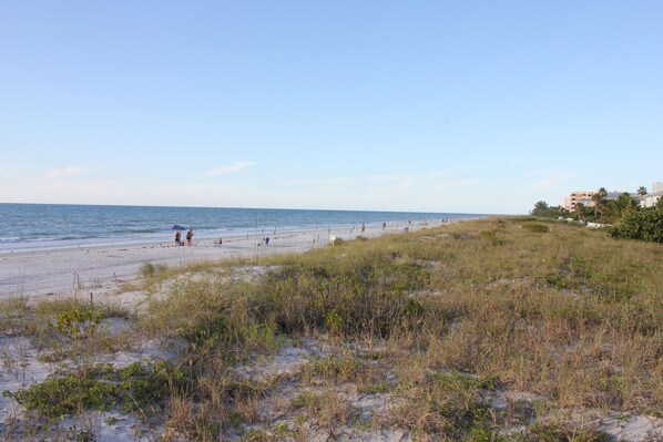 Indian Rocks Beach 