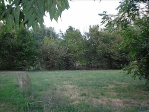 ~Summer View of Back Yard~