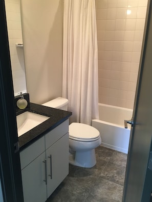 Guest bathroom