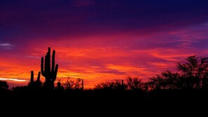 The best desert views to be had in some of the lushest Sonora High Desert!