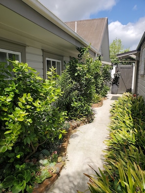 Garden lined entry to The Loft