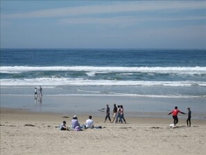 Would you like to have a picnic, surf, or walk on the beach?