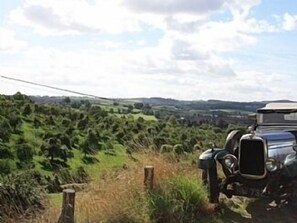 View from the car parking area below cottage