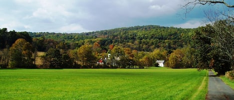 Overnatningsstedets område