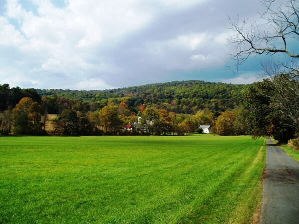 Penbuck Farm private driveway