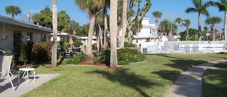 Courtyard and Pool