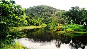 Jardines del alojamiento