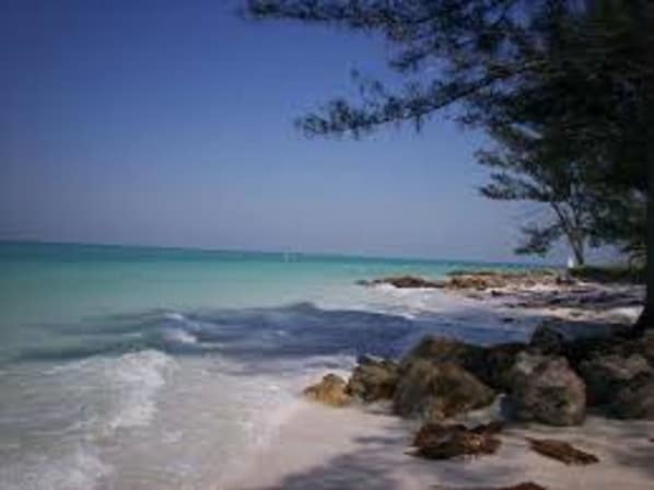 Bay side beach 7 minute walk from house