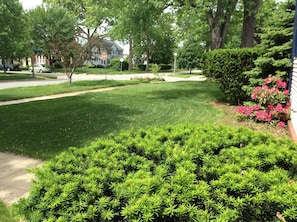 Front yard and neighborhood, from front porch. 