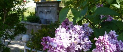 Jardines del alojamiento