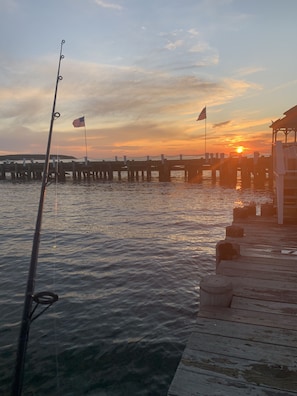 Download a fishing license (for free) and fish off the docks right out front