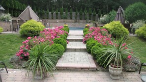 Pool 2 Path to Pool with Flowers