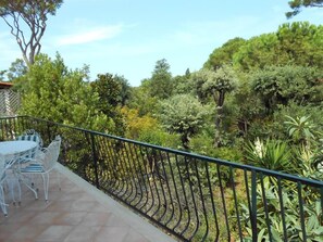 Terrace / Balcony