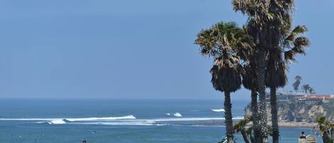 Palisades Park at the foot of Law St is just steps away.