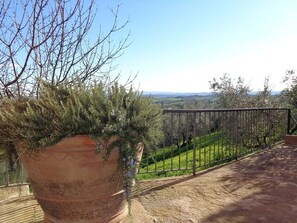 from the terrace