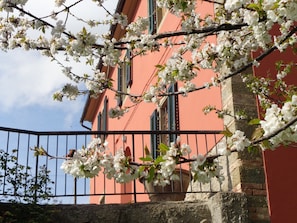 spring time