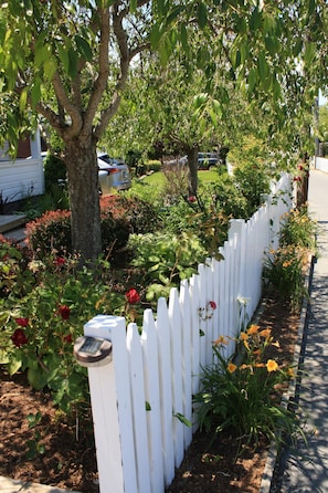 Lush gardens