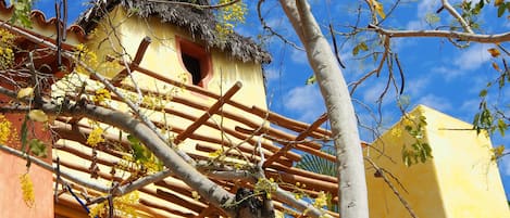 Detalle exterior