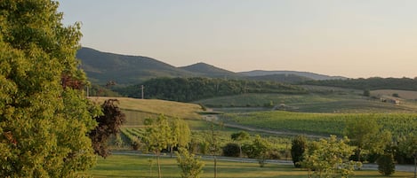 VISTA DALLA TERRAZZA, overwiew from the terrace