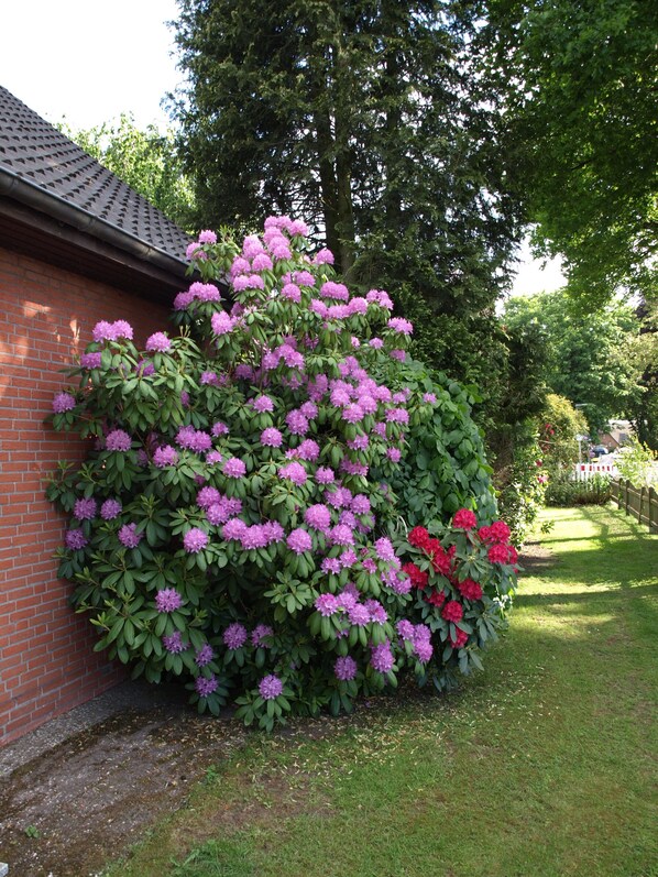 Boendeområde