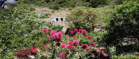 Jardines del alojamiento