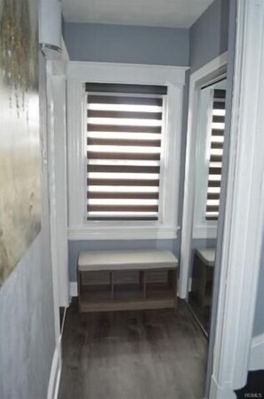 Hallway with entrance closet