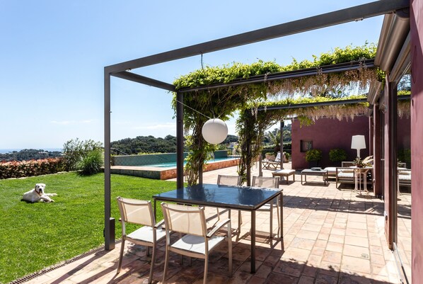 Terrace and garden