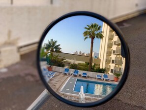 Shared Pool in Funchal