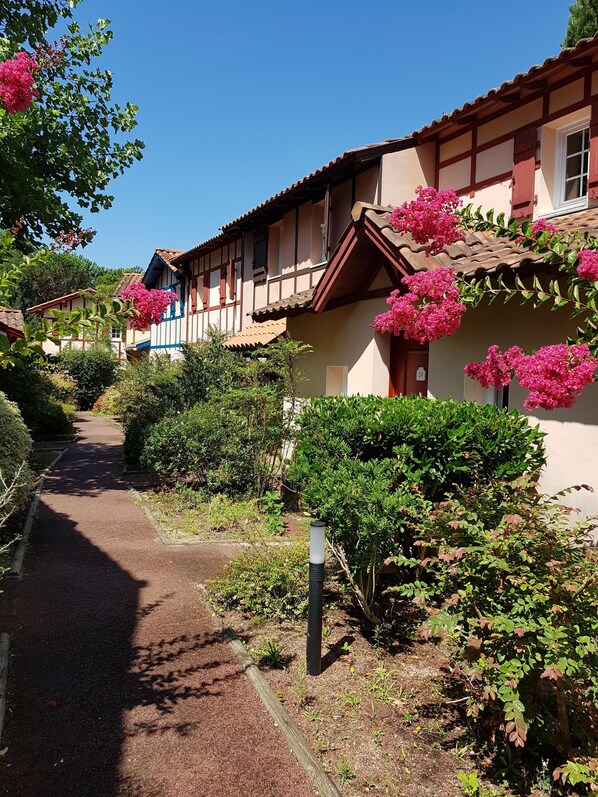 Exteriör