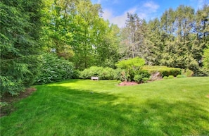 Back lawn within pool area 