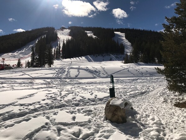 Snow and ski sports