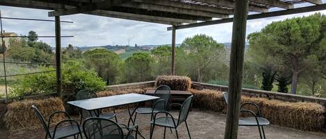 Balcony / Terrace / Patio