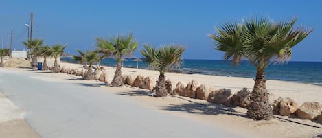 Serena bay - Beach INFRONT OF complex