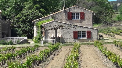 maison des vignes (mars)