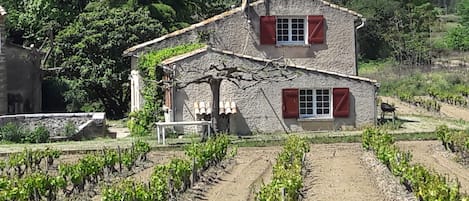 maison des vignes (mars)