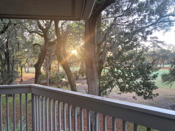 Sunrise Through The Live Oaks At The "Tree House"