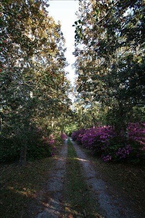 entrance drive