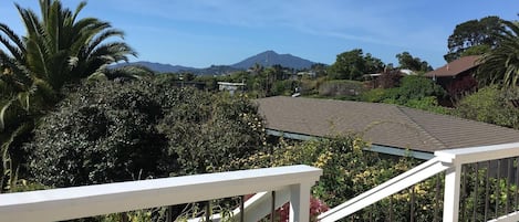 View of Mt. Tamalpais from deck