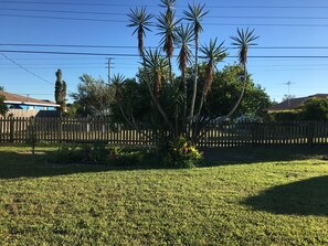 back yard view from lanai